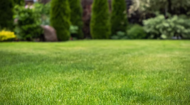 Commercial lawn care in Bridgewater